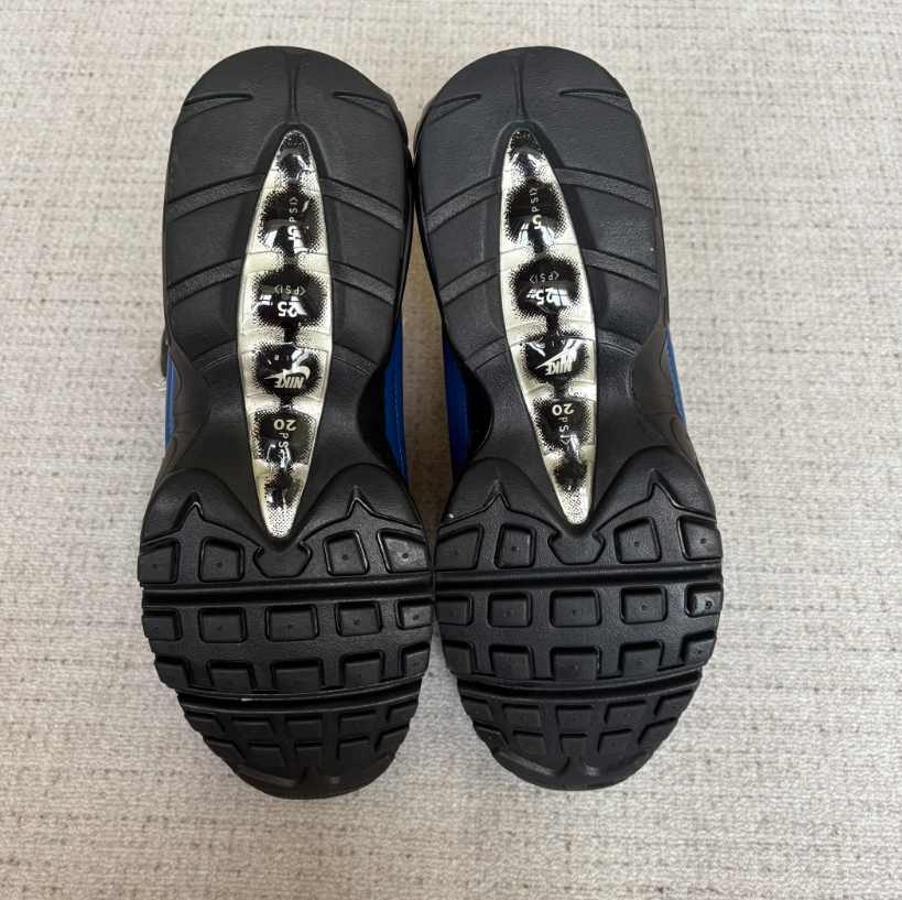 Air max 95 X Supreme